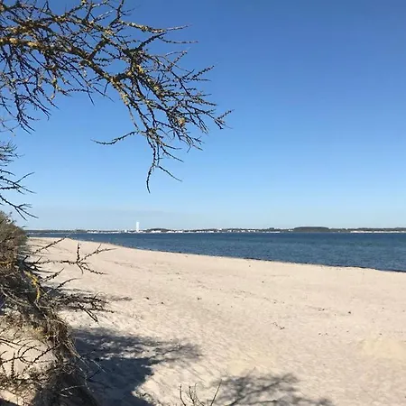 Strandsegler * Barendorf (Mecklenburg-Vorpommern)